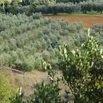 Gemuetliches Im Erdgeschoss- Mit Terrasse By Interhome Monte Vibiano Vecchio