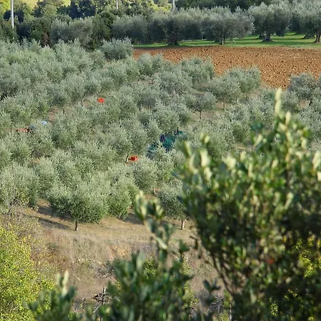 Gemuetliches Im Erdgeschoss- Mit Terrasse By Interhome Monte Vibiano Vecchio